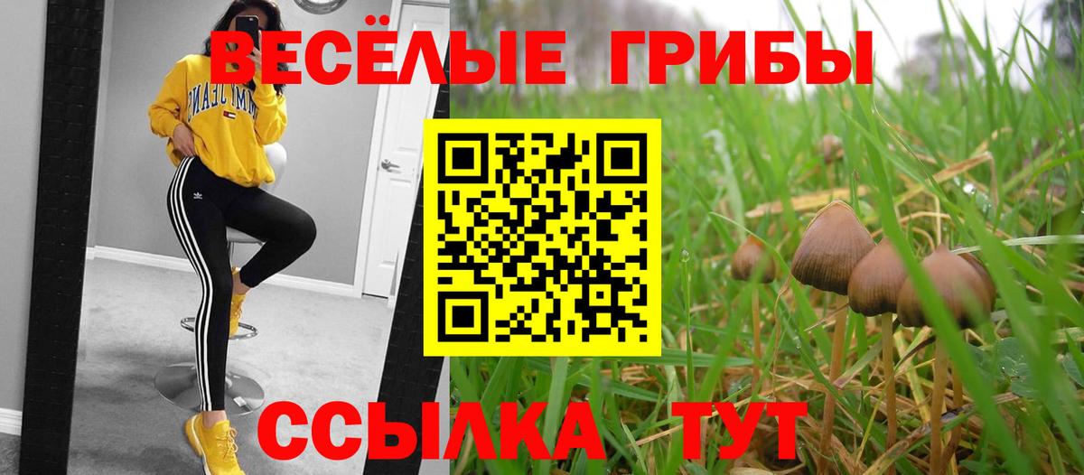 Галлюциногенные грибы Magic Shrooms  Вход с VPN  Будённовск 